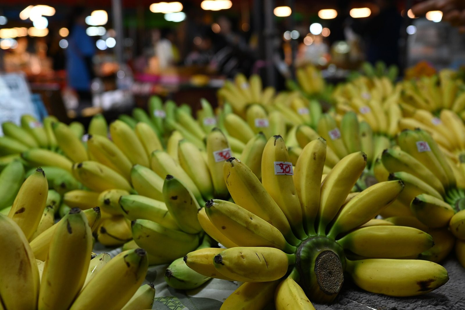 Régimes de bananes mûres sur un étal de marché, export de bananes du Cameroun